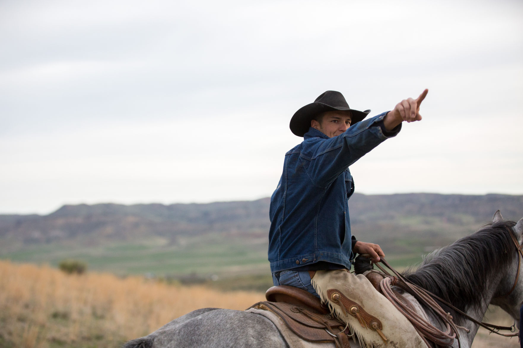 Sheridan Cattle Branding